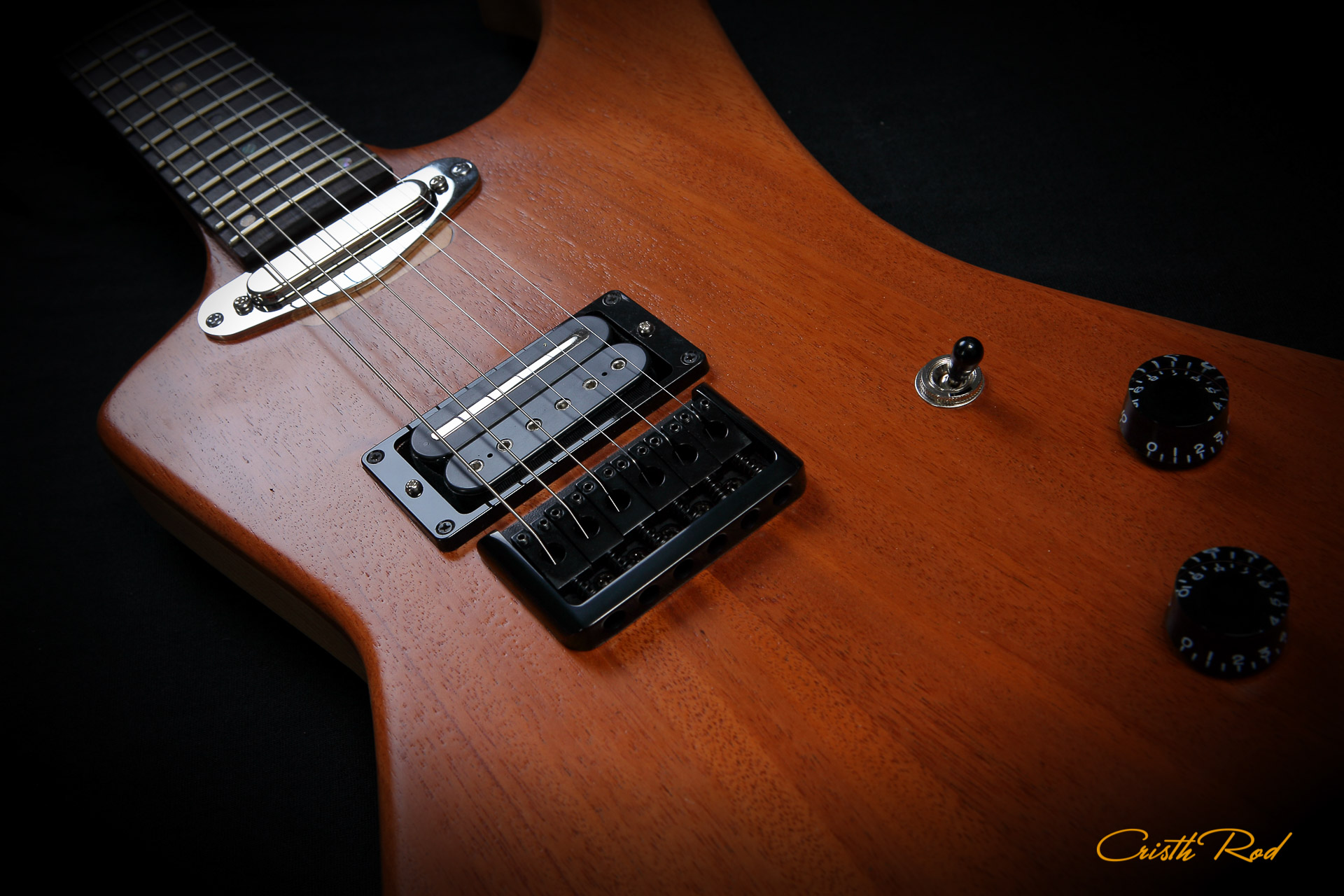 RAPTOR Autumn - Guitarra Artesanal - Cristh Rod Guitars